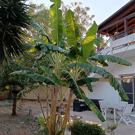 Villa La Casa Del Noce Ruffano Exterior foto