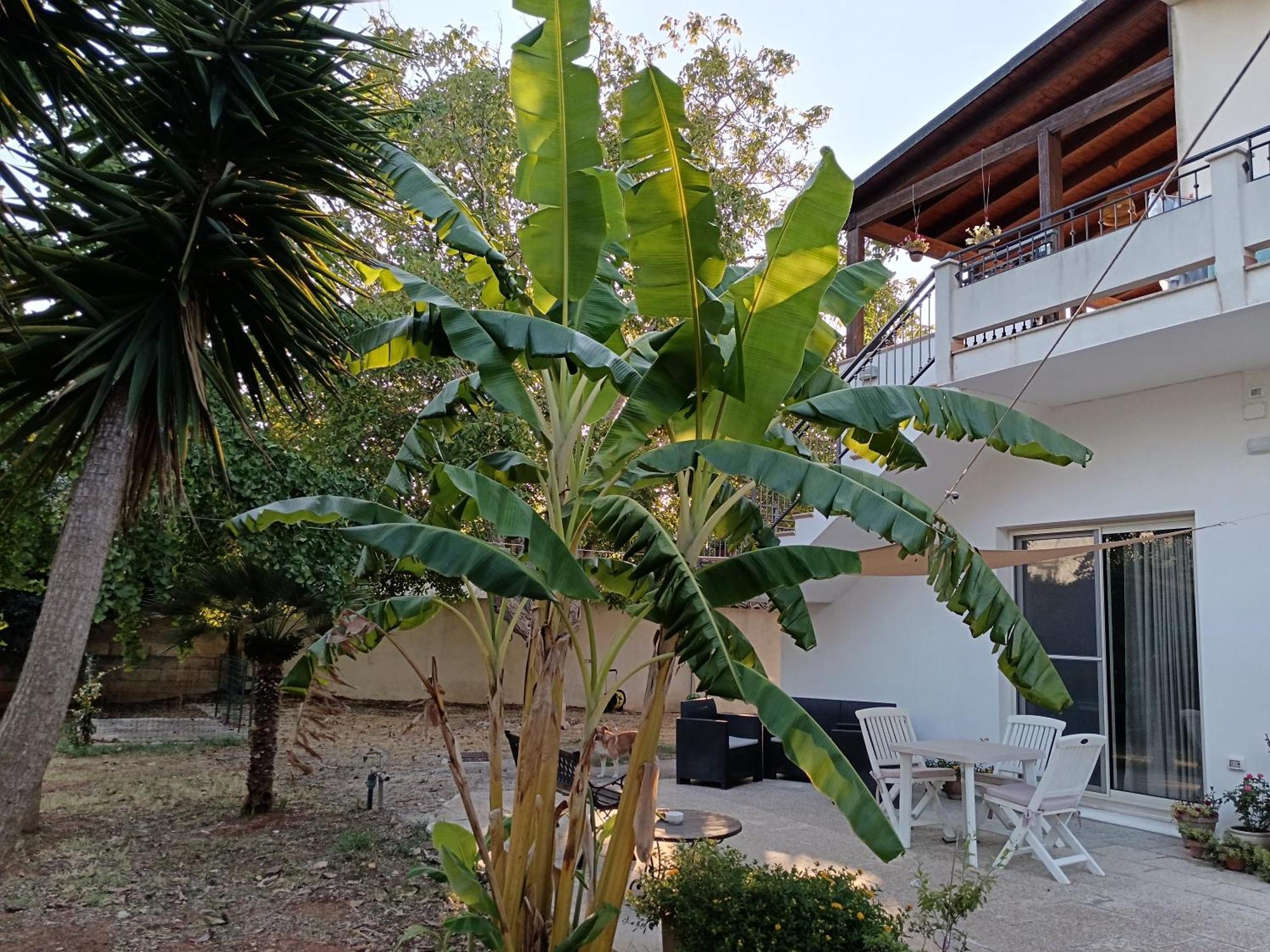 Villa La Casa Del Noce Ruffano Exterior foto